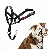 HALTI Kopfgeschirr - Verhindert, dass Ihr Hund an der Leine zieht, Einfache Anpassung, Leicht, mit gepolstertem Nasenriemen, Anti-Zug-Halsband für mittelgroße Hunde (Größe 2, Schwarz)