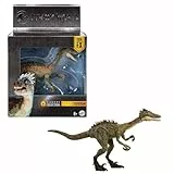 Mattel Jurassic World Hammond Collection mit Menschen- und Dinosaurier-Actionfigur, Atrociraptor Tiger, Premium-Film-Design Glasaugen & 14 Gelenkpunkte, JDJ11