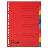 Falken 10er Pack Karton-Register überbreit für DIN A4+ 24 x 30 cm volle Höhe mit Organisationsdruck 10-teilig vollfarbig zur Ablage von Prospekt- und Klarsichthüllen