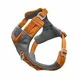 Kurgo Journey Air Hundegeschirr, Westengeschirr für Hunde, Haustier-Wandergeschirr zum Laufen & Spazierengehen, reflektierend, gepolstert, inklusive Steuergriff, kein Zug vorne Clip (Orange, Medium)