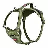 Company of Animals Halti Anatomie Hundegeschirr mit Griff – Bewegungsfreiheit und für Hund. Größe XS, Grün. 3 Verbindungspunkte für die Leine, Neoprenpolsterung, verstellbar und reflektierend