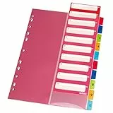 herlitz Register für A4, Index 1-10, 21 x 29,7 cm, Kunststoff, bunt mit Indexblatt und Eurolochung