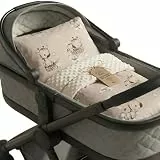 Babydecke Kuscheldecke Baby Decke Winterdecke mit Plüschstoff 75x60 cm + Kissen 35x30 cm - Kinderdecke Blanket Babydecken Kinderwagendecke und Erstausstattung für Neugeborene und Kinder Oeko-Tex