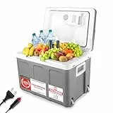 TZS First Austria - Kühlbox 45L elektrisch 12V 230V Anschluss für Auto & Steckdose - Thermoelektrische Cool Box kühlt & wärmt - Mini Kühlschrank mit Rollen - Für Camping, Festivals, Reisen - Grau