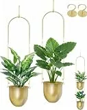 AceList Gold Hängende Pflanzgefäße Set mit 5,51 Zoll Hängende Pflanzgefäße für Zimmerpflanzen, Haus, Balkon, Garten und Terrasse – Fenster hängende Pflanzgefäße mit Hanfseil