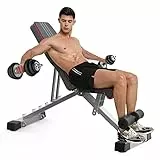 YOLEO Multifunktion Training Fitness Bank, 3+6 Einstellbare Übungsbank Bizepstraining und Rückentrainer, Beinhalterung für Bauchtraining Mehrweg Sit up Bank, mit hochwertigem dickem Polster