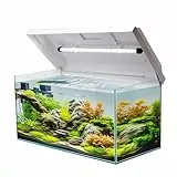 VIALIA Aquarium 60x30x30 cm 54 Liter | mit Juwel LED Abdeckung weiß | Glasbecken für Fische & Wasserpflanzen | Stoßfestes Floatglas mit Diamantschliff | Für Süß- & Salzwasser geeignet