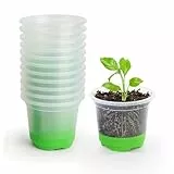 MIXC Anzuchttöpfe 12 Stück 10cm Pflanztöpfe Transparent mit Silikonsockel Wiederverwendbar Blumentöpfe aus Kunststoff für Pflanzen Blumen Gemüse,Grün