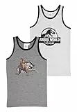 United Labels Jurassic World Unterhemd für Jungen Kinder Tank Top Hemdchen Unterwäsche Grau (2er Pack) (DE/NL/SE/PL, Numerisch, 110, 116, Regular, Grau)