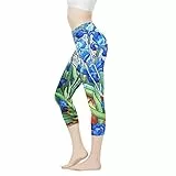 AFPANQZ Damen Yoga Leggings Nahtlose Kompressionshose für Fitnessstudio Sport Scrunch Butt Weich Hohe Taille Leggings Work Out, Van Gogh Irises Floral Flower, Klein