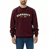 Carhartt Loose Fit Midweight Crewneck Block Logo Graphic Sweatshirt