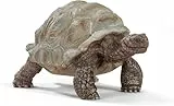 SCHLEICH WILD Life | Riesenschildkröte 14824 | detailgetreue Tierfiguren | Zoo Spielzeug | tolles Geschenk für Jungen und Mädchen | Deko für Geburtstag | Spielfigur ab 3 Jahren | 8 x 4 x 4 cm
