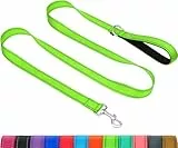 Taglory Hundeleine mit gepolsterter Handschlaufe, Reflektierende Führleine für kleine, mittlere und große Hunde sowie Welpen, Aus reißfestem Nylon für tägliche Spaziergänge, Grün