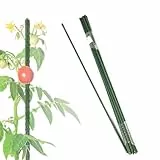 Floordirekt Rankhilfe Pflanzstäbe 180cm 10 Stück für Kletterpflanzen, Tomaten, Gurken oder Blumen Pflanzenhalter Rankstab Stange Kletterhilfe aus Metall für Zimmerpflanze, 16mm