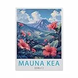 Mauna Kea Hawaii，Puzzles 1000 Teile für Erwachsene, Klassische Puzzle Teenager Puzzle Perfektes Pädagogisches Geschenk für Jungen Und Mädchen（50x70cm）-AY61