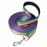 Loutep Regenbogen-Trainingsleine für Hunde, 3 m, 5 m, 10 m, 15 m, 20 m, 25 m, 30 m, starkes Nylonseil, extra lange Leine, Hundeleine mit gepolstertem Griff, für große, mittelgroße und kleine Welpen,