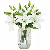 Olrla 6 Stück Weiß Künstliche Lilie Blumen, Künstlich Plastikblumen, künstliche Lilie echte Berührung Zuhause Hochzeit Party Dekoration, Blumenarrangement