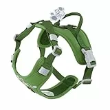 Hurtta Weekend Warrior Hundegeschirr II ECO (Parsley, 45-60 cm)