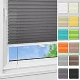 Magiea Plissee ohne Bohren Klemmfix B55 x H120cm Anthrazit lichtundurchlässig Plisseerollo für Tür & Fenster Blickdicht Sichtschutz Sonnenschutz Rollo