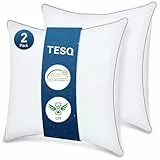TESQ Kopfkissen, 65 x 65 cm, 2 Stück, Hotelqualität, Luxus-Kopfkissen, bequem, weich, atmungsaktiv und hypoallergen, Öko-TEX-Zertifiziert, für alle Schlafpositionen geeignet