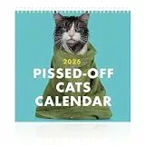Kalender 2026 Wandkalender, Bildkalender mit 12 witzige Katzenfotografien, Wandplaner mit Platz für Notizen,Ideal als Paarkalender oder Familienplaner, Lustiger Katzen-Wandkalender(28x28 cm)