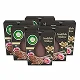 Air Wick Wohlfühl-Duftkerze im Glas – Duft: Sandelholz & Wildrose – Je bis zu 20 Stunden Brenndauer – Enthält natürliche ätherische Öle – 6 x 105 g Duftkerzenset