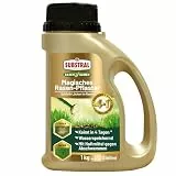 Substral Magisches Rasen‑Pflaster Mischung 1kg Nachsaat Rasen