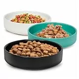Katzennapf Keramik,Futternapf Katze Keramik Katzenfressnapf Für Kätzchen & Kleintiere Katzenfutter Napf Katzenschüssel Flach Futterschale Katze Katzen Napfset