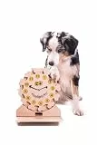 My Intelligent Dogs Interaktives Hundespielzeug Intelligenz - Intelligenzspielzeug für Hunde & Katze - Interaktives Spielzeug Hund, Katzenspielzeug - Denkspiele für Hunde - Clock