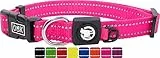DDOXX Reflektierendes Nylon Hundehalsband - Stabiles und Verstellbares Welpenhalsband für alle Größen - XS (Pink)