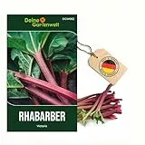 Rhabarber Victoria Samen - Rheum rhabarbarum - Rhabarbersamen - Gemüsesamen - Saatgut für 10 Pflanzen