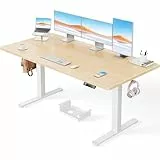 ErGear Höhenverstellbarer Schreibtisch-160 x 80cm,100KG Tragkraft Elektrischer Schreibtisch mit Fortgeschrittenem Bürstenlosem Motor, Leise Funktion, Robuster Metallrahmen