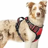 rabbitgoo Hundegeschirr Mittelgroße Hunde, Verstellbare Geschirr Hund ohne Zug & Würgen, Anti Zug Hundegeschirr mit Griff, weich Gepolsterte Reflektierende Brustgeschirr, Rot M