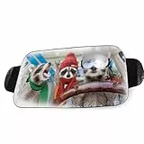 OK Cars Alu Windschutzscheibenabdeckung Waschbär – 150 x 70 cm – Frontscheibenabdeckung Winter – Universell passender Frostschutz Auto – Faltbare Auto Frostschutz Abdeckung