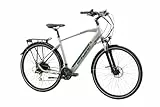 F.lli Schiano E-Wave, E Bike Trekking 28 Zoll, 36V 11.6Ah Abnehmbarer Akku, Motor 250W 50Nm, Trekking EBike für Herren, Silber