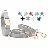 Weich Leder Hundehalsband und Leine (2m) Set - 3-Fach Verstellbar Hundeleine mit Halsband, Stilvollen Rose Gold Metall Schnalle & Nylon Hund Leinen für Welpen Kleine Mittlere Große Hunde Grau,XS