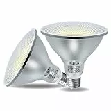 DEIFUA E27 PAR38 LED Lampe Tageslichtweiß 18W 2000 Lumen Ersetzt 120W Halogen Leuchtmittel, 2er-Pack, Strahler Flimmerfrei 5000K, Reflektorlampen IP65 Abstrahlwinkel 60° Spot Birnen, Nicht Dimmbar