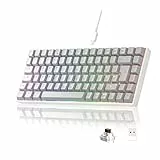 Newmen GM840 Gaming Tastatur Mechanische,2.4G Kabellose/Bluetooth/USB C Mit Kabel 75 Prozent TKL Tastatur,84 Tasten RGB Beleuchtung Hot Swap Mini Tastaturen für PC/Win/Mac,QWERTZ Layout,Braun Schalter