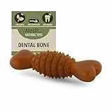 Nosli Natural Toys Dental Bone • Gummi Kauknochen für Hunde • Aus Naturkautschuk ohne Farbstoffe • Spielzeug Knochen Hund • Hundespielzeug Knochen mit Noppen • Hundeknochen Naturgummi (S)
