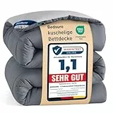 BEDSURE Bettdecke 135x200 Ganzjahresdecke Steppdecke - Bettdecke Ohne Bezug 135x200cm 300GSM - 4 Jahreszeiten Bettdecken Wende Grau/Hellgrau, Weiche Warm Duvet Schlafdecke für Allergiker