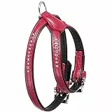 Karlie Geschirr Monte Carlo B: 11 mm XS rot
