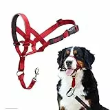 HALTI Kopfgeschirr - Verhindert, dass Ihr Hund an der Leine zieht, Einfache Anpassung, Leicht, mit gepolstertem Nasenriemen, Anti-Zug-Halsband für große Hunde (Größe 4, Rot)