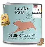 Gelenktabletten Hund 300 g Hochdosiert mit Grünlippmuschel I Teufelskralle, MSM, Glucosamin, Weihrauch I Deutscher Hersteller I reicht bis zu 12 Monate I hohe Akzeptanz, TESTSIEGER