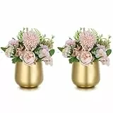 NUPTIO Kleine Vase Gold für Tischdeko: 2 Stück 10cm Blumenvase Tischdekoration Vintage für Hochzeit Tafelaufsatz Geburtstag Party Dekorationen Metall Blumentopf Pflanzentopf Wohnzimmer Balkon