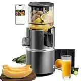 Anybear Entsafter mit 124 mm Einfüllschacht 350W Slow Juicer mit Doppel-Zerkleinerungstechnologie für Ganze Früchte & Gemüse | Hohe Saftausbeute | BPA-freies Tritan-Material (Sternengrau)
