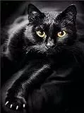 Pracht Creatives Hobby Diamond Painting Set, Bild mit Motiv Schwarze Katze und Zubehör, Größe ca. 35 x 25 cm, Bastelset zum Malen mit Glitzersteinchen für Kinder ab 5 Jahren