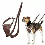 HALTI No Pull Anti-Zug Geschirr - Verhindert, dass Ihr Hund an der Leine zieht, Gepolsterter Brust- und Beingurt, Reflektierendes Gurtmaterial, Einfache Anpassung und Benutzung (Größe S, Walnussbraun)