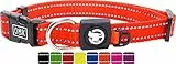 DDOXX Reflektierendes Nylon Hundehalsband - Stabiles und Verstellbares Welpenhalsband für alle Größen - L (Orange)