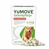 YuMOVE Grünlippmuschel Hund Gelenktabletten - 60 Tabletten - Für Junge aktive Hunde bis 5 Jahre - Beweglichkeit und Agilität - Gelenktabletten für Hunde mit Omega-3 und Glucosamin