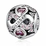 925 Sterling Silber Geburtsstein Charms Anhänger mit 5A Cubic Zirkonia Dangle Beads Charms,Openwork Perlen Liebesherz Anhänger für Pandora Europäische Charme Armband Schmuck